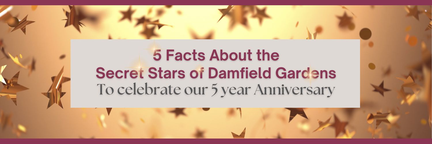 Incredible Residents of Damfield Gardens