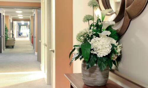 Welcome to Damfield Gardens Care Home